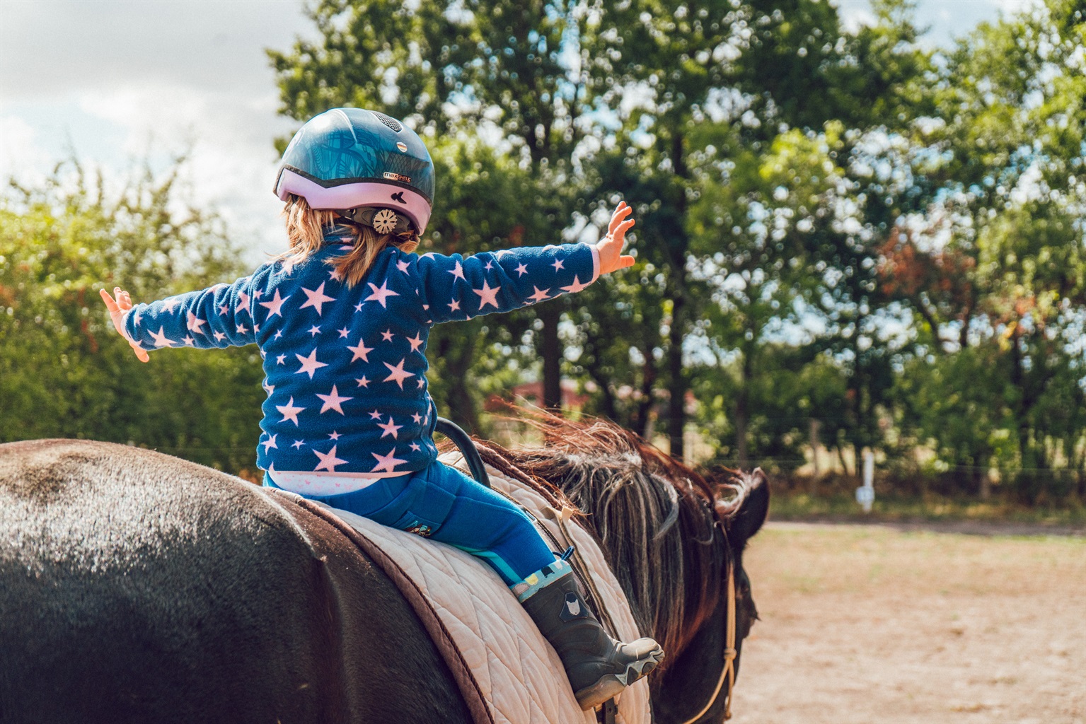Horseback Riding - Things to do in Island Park