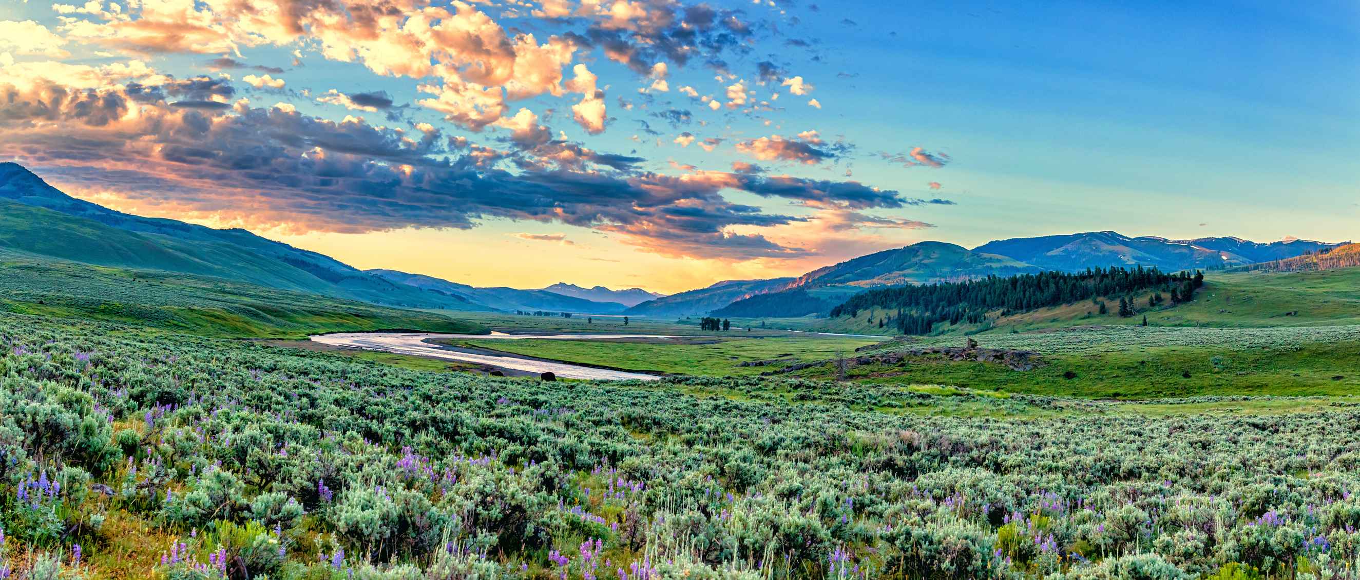 Pony Express Cabin gallery image